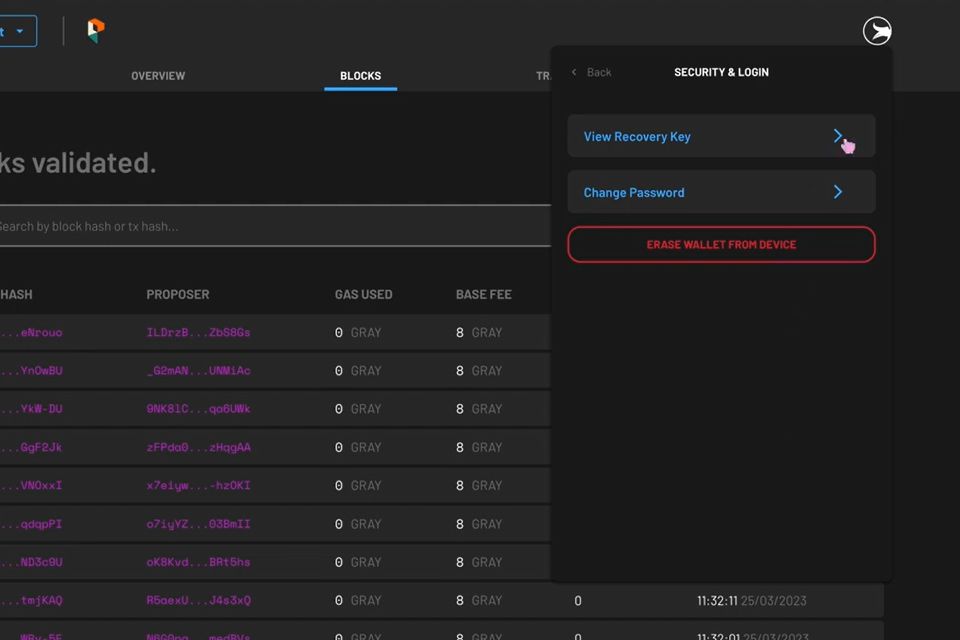 view-recovery-key-parallelchain-mainnet.jpg